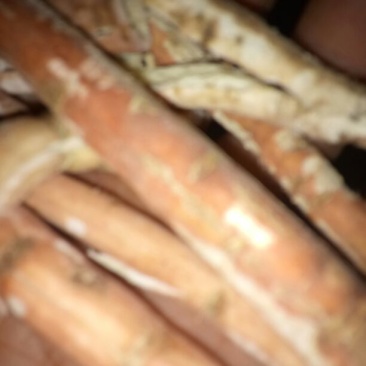 牡丹皮统货