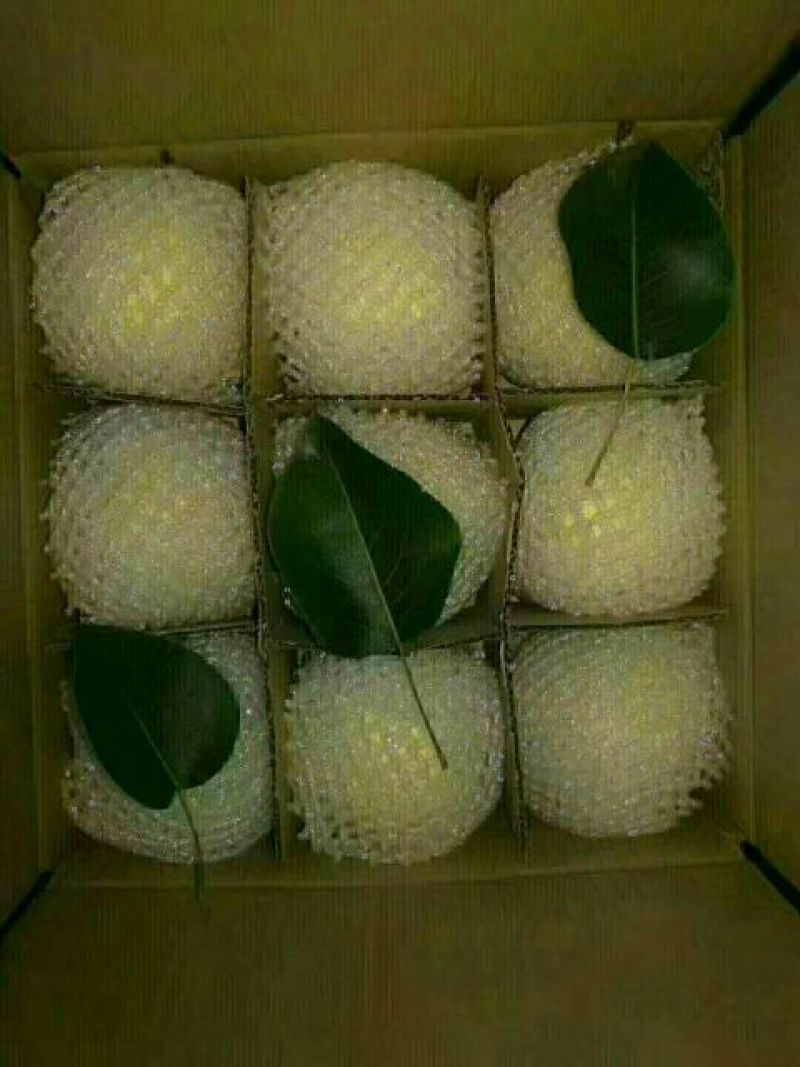 刺梨鲜