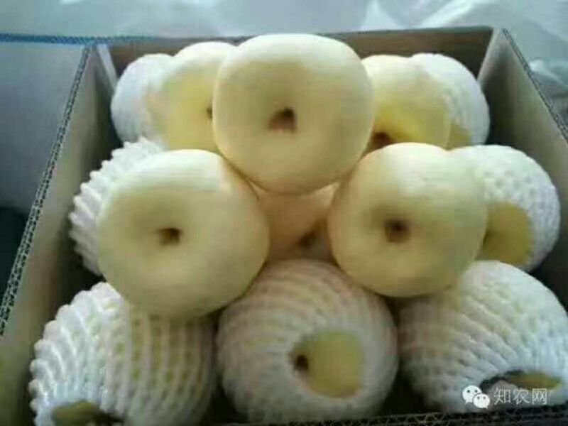 刺梨鲜