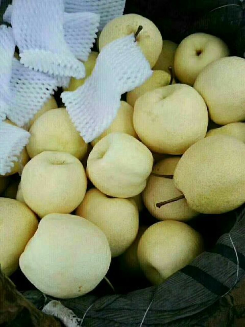 刺梨鲜