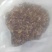 松蘑特级