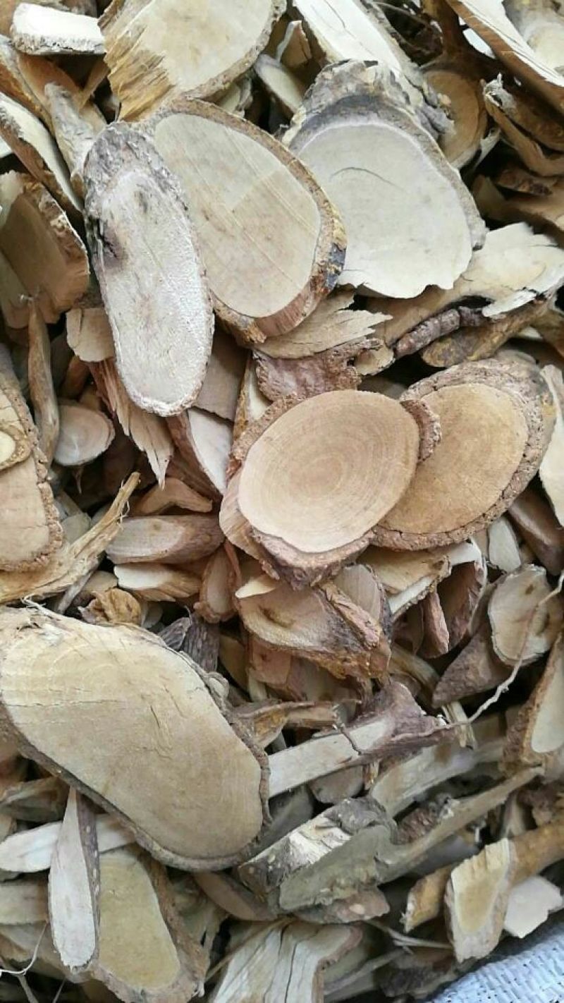 两面针