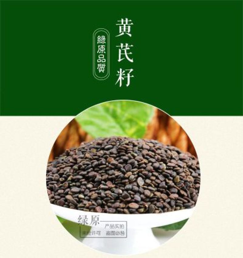 黄芪种子95%以上4斤/亩耐寒耐旱提供种植技术