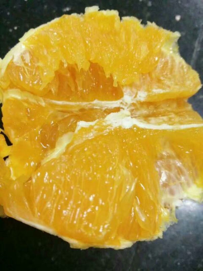 纽荷尔脐橙产地诚信代办欢迎新老客户前来咨询订购