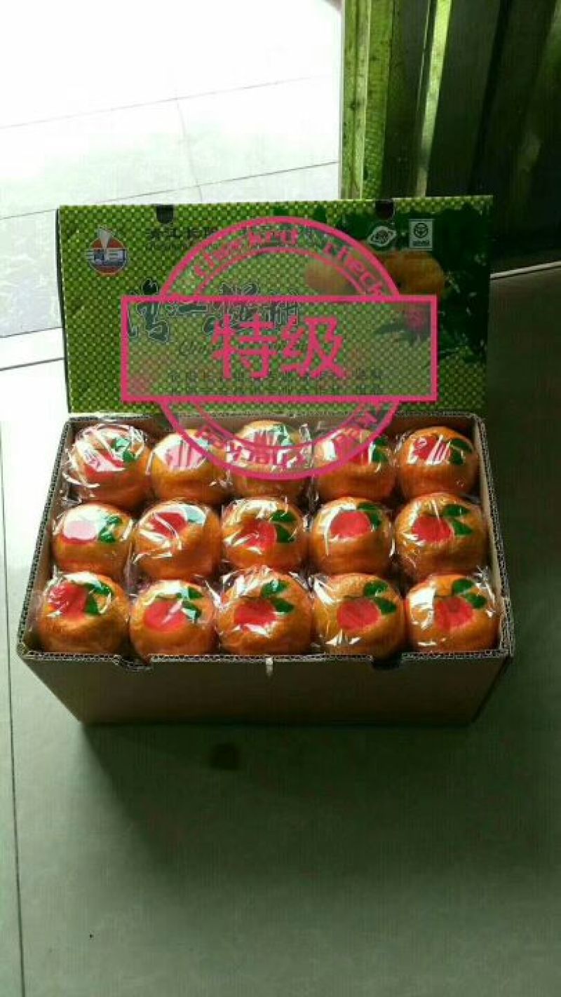 椪柑产地看货采摘保质保量欢迎咨询订购