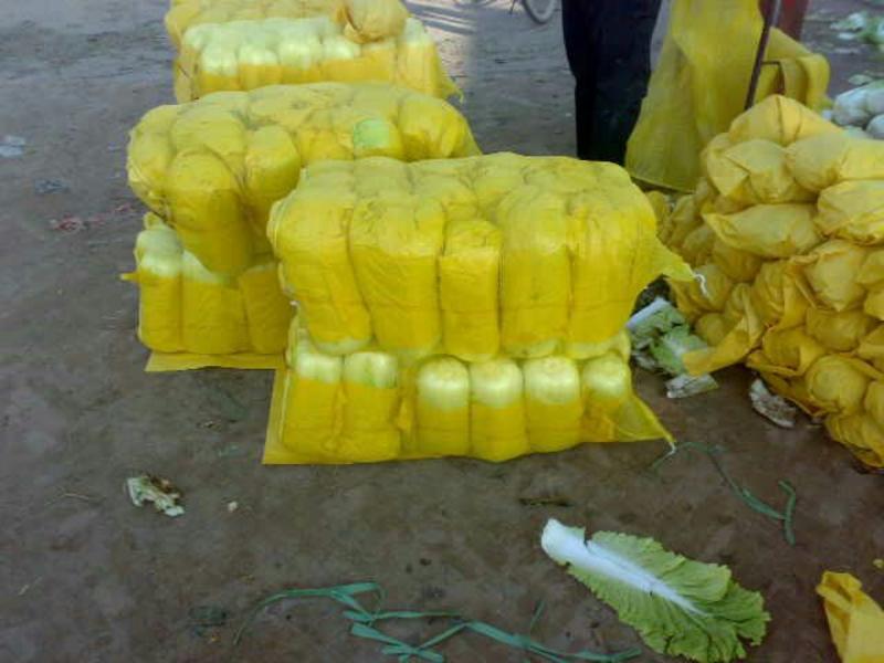 大量供应精品玲珑黄白黄心白菜6斤以上产地直供欢迎采购