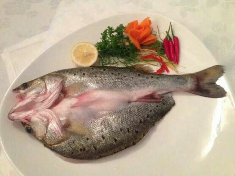 鲈鱼