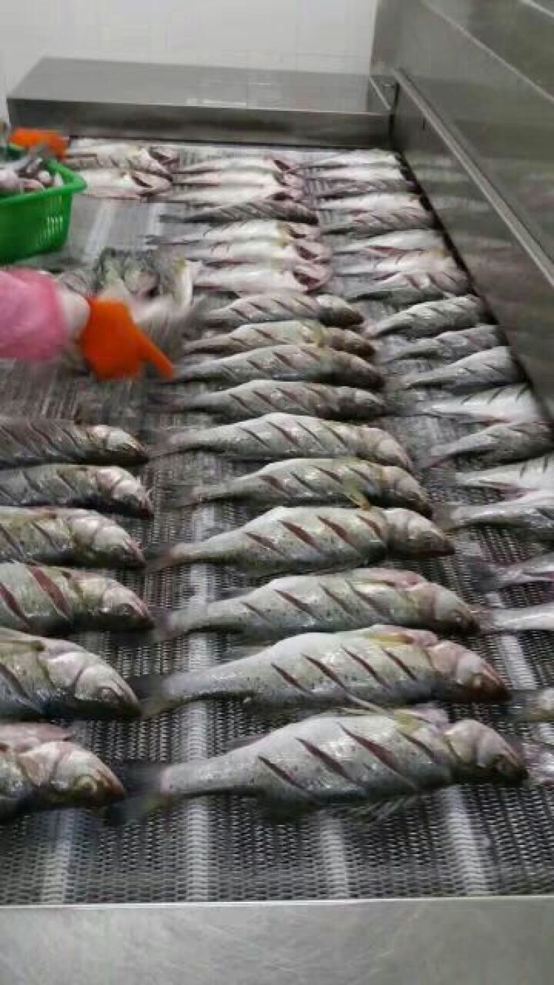 鲈鱼
