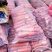 三红胡萝卜，3两以上，15公分以上带土，货源充足