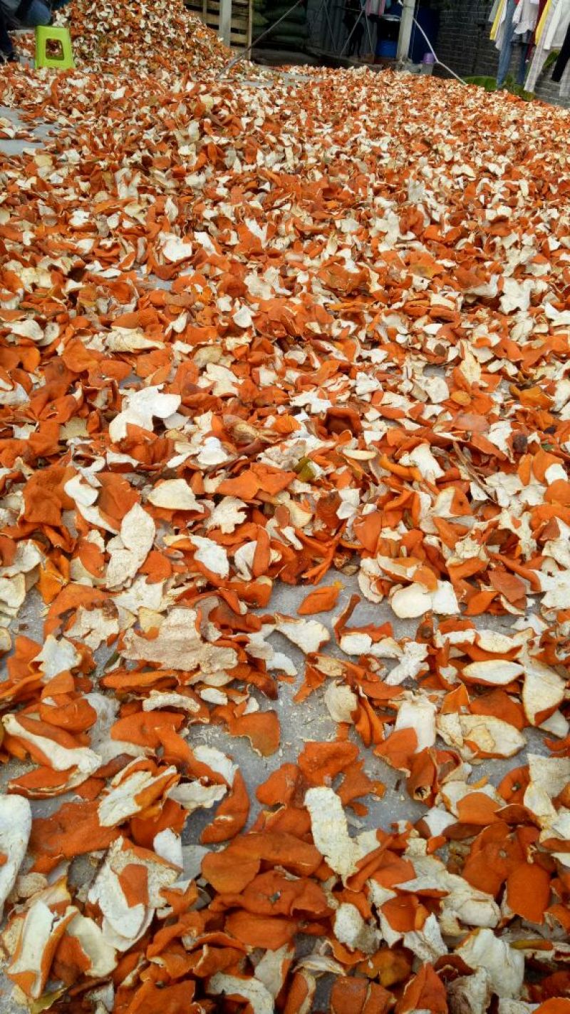 陈皮杂个，选个，陈皮专营