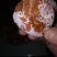 柿饼1~2两