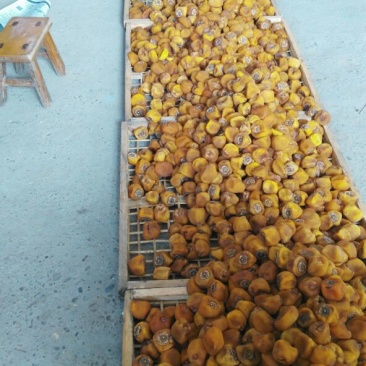 柿饼1~2两