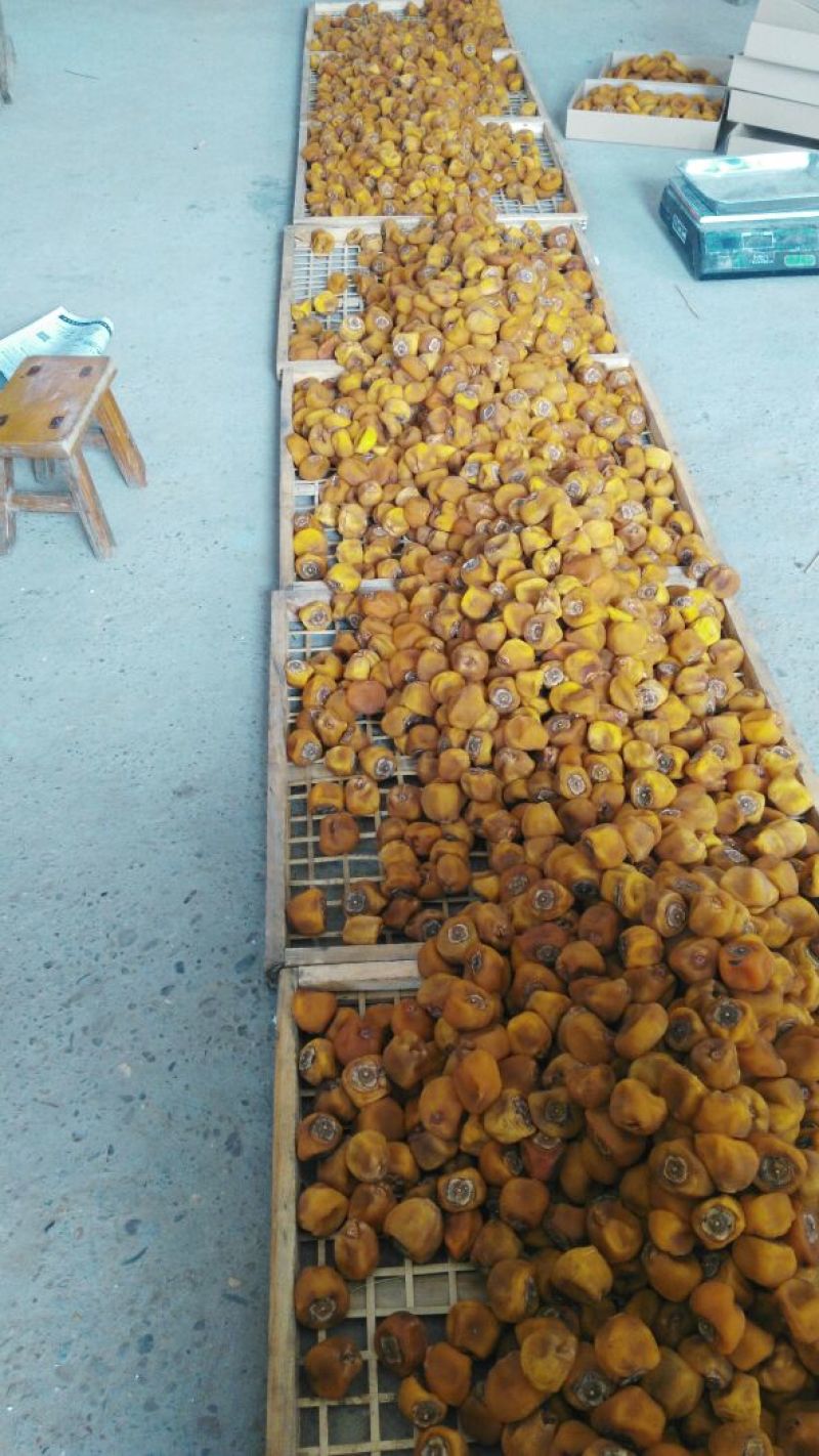 柿饼1~2两