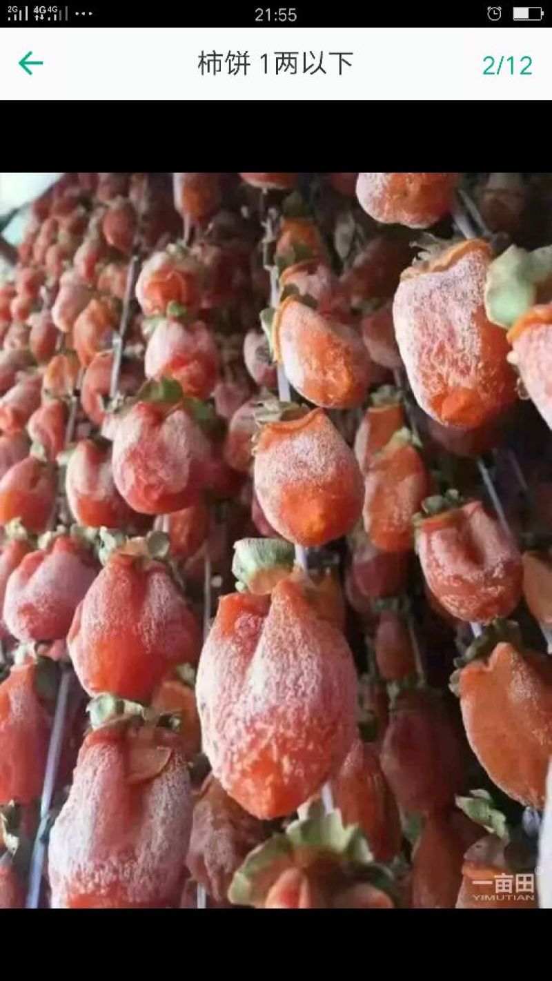 柿饼1~2两