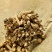 黄芪1cm（低价急售）
