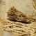 黄芪1cm（低价急售）