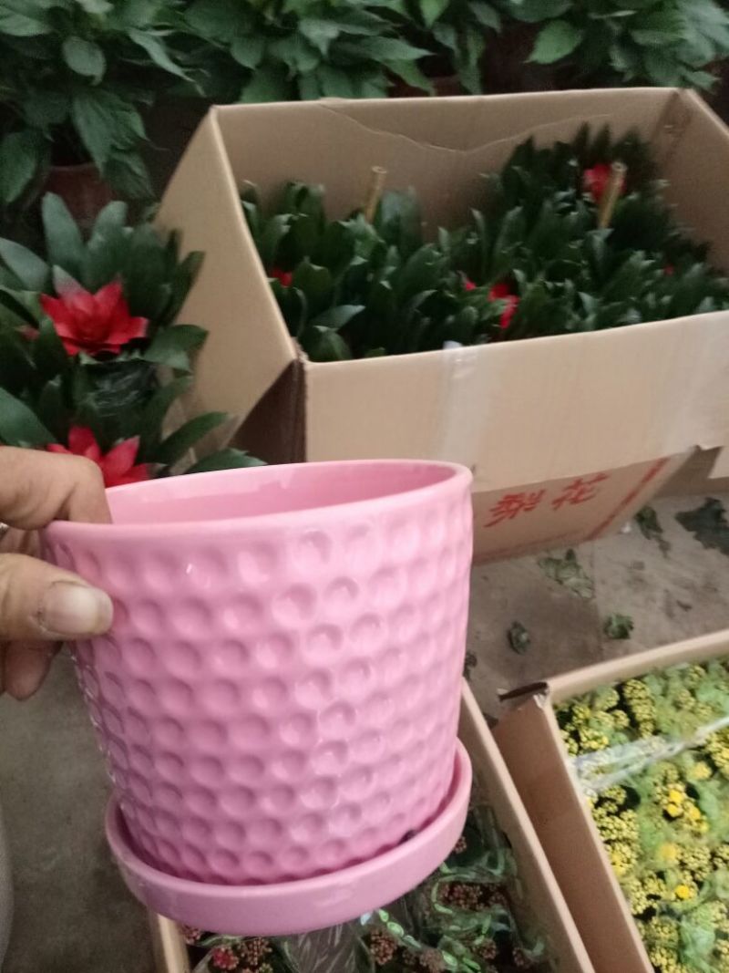花盆带托三款口径14包损