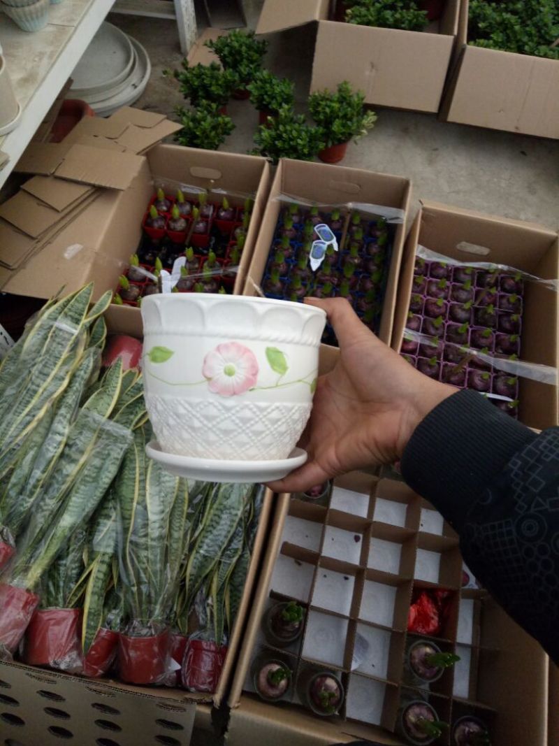 花盆带托三款口径14包损