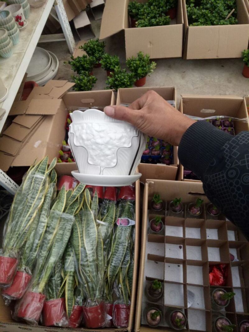花盆带托三款口径14包损
