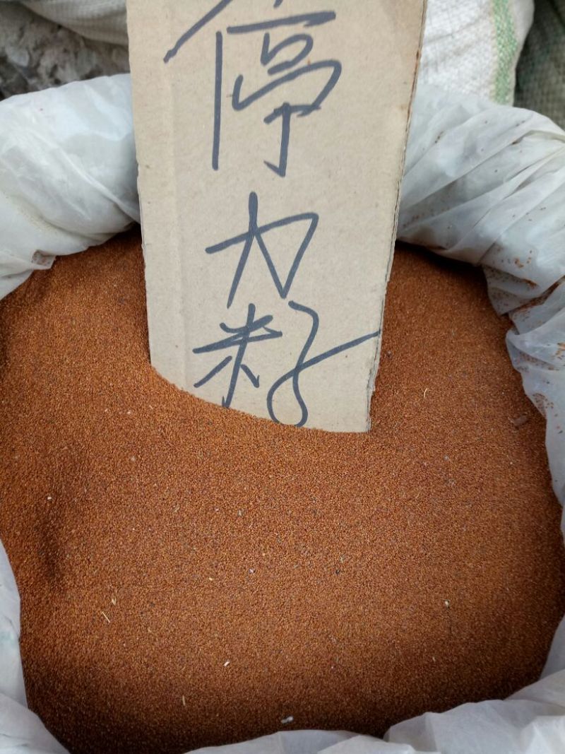 葶苈子河北干货药用量大从优欢迎选购