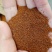 葶苈子河北干货药用量大从优欢迎选购