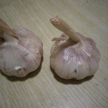 红蒜5.5cm~6cm干蒜