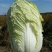 韩国黄心白菜净菜4~6斤