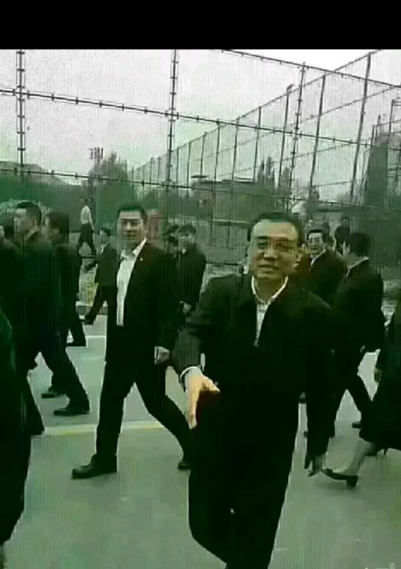 海带头湿