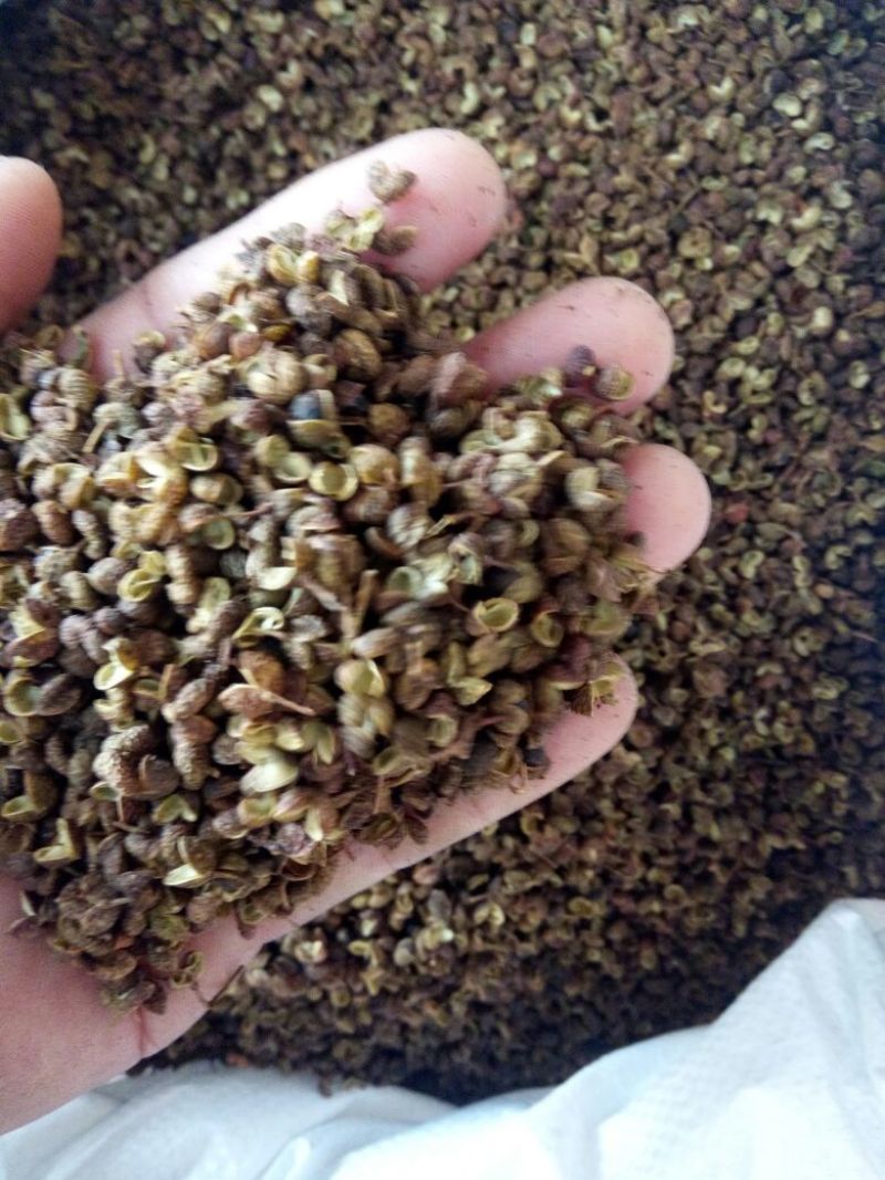 青花椒特级干