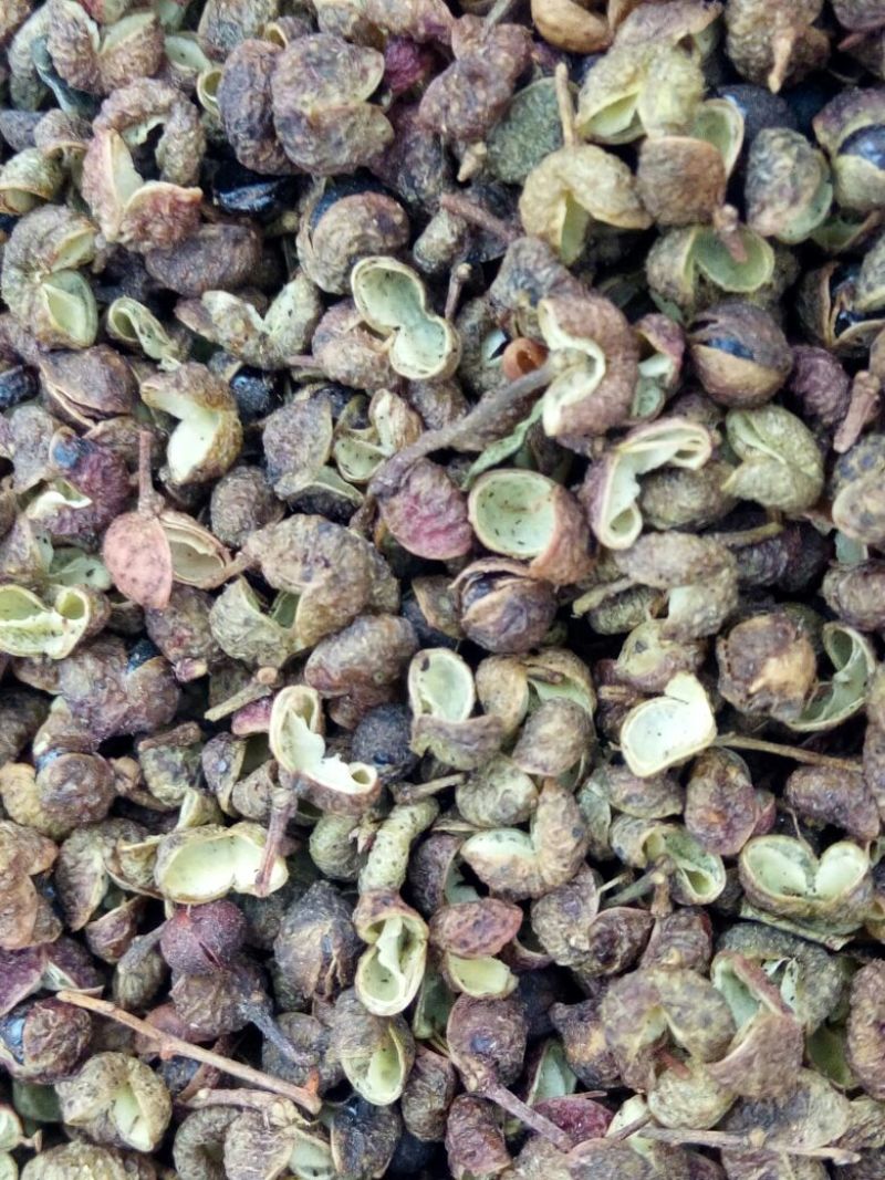 青花椒特级干