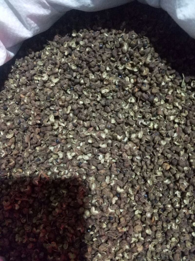 青花椒特级干