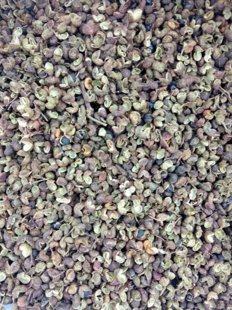 青花椒特级干