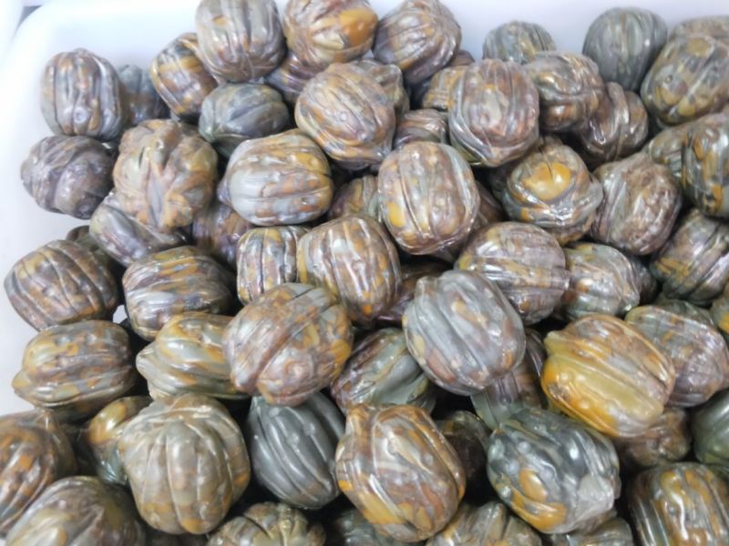 菜板可以