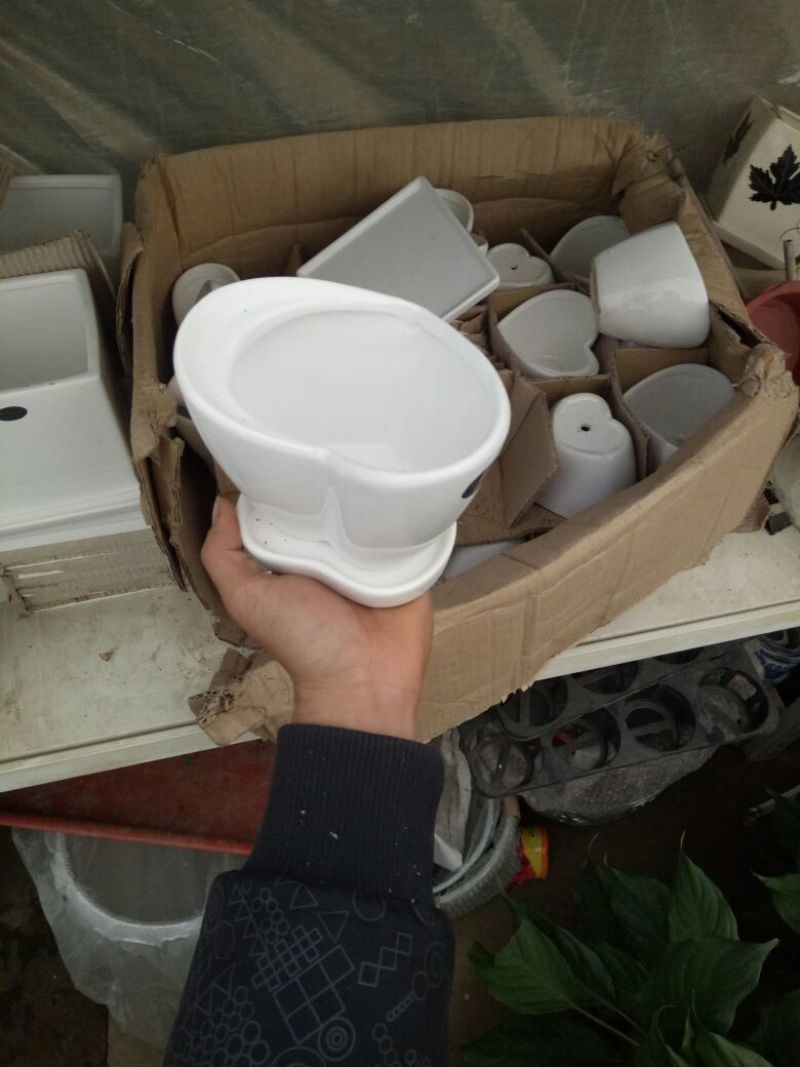 花盆心形花盆带托包邮