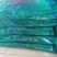白帽蒜薹精品70cm以上
