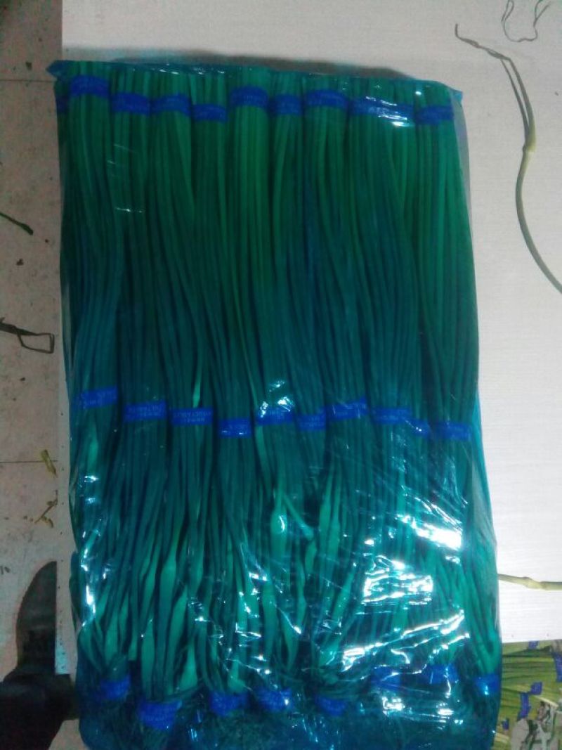 白帽蒜薹精品70cm以上