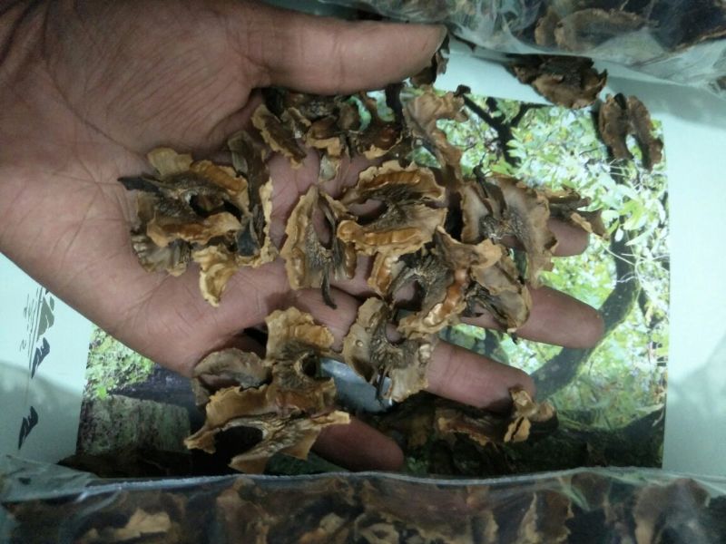 分心木云南现剥分心木现时发货