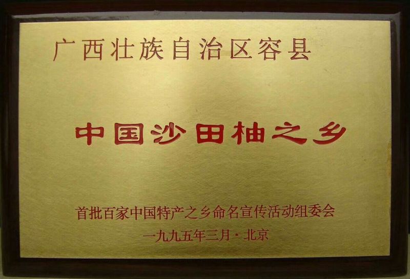 【有好货】广西容县沙田柚纯正纯甜多水分诚招代一件代发