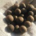 茶种子新鲜茶籽茶果信阳毛尖绿茶籽种植采早茶叶树种子