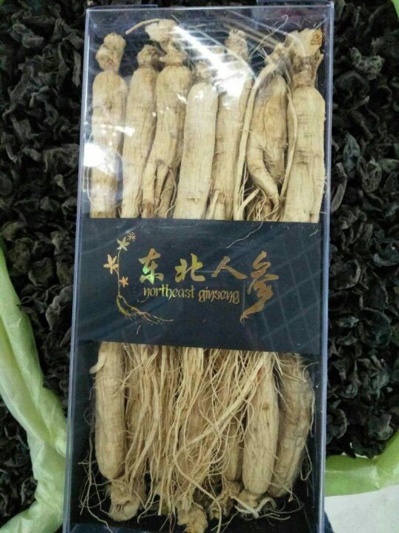 白参菇白参