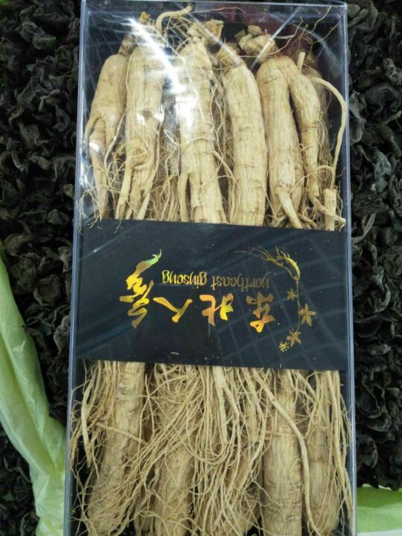 白参菇白参