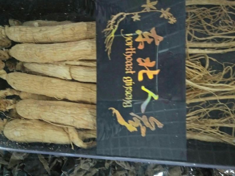 白参菇白参