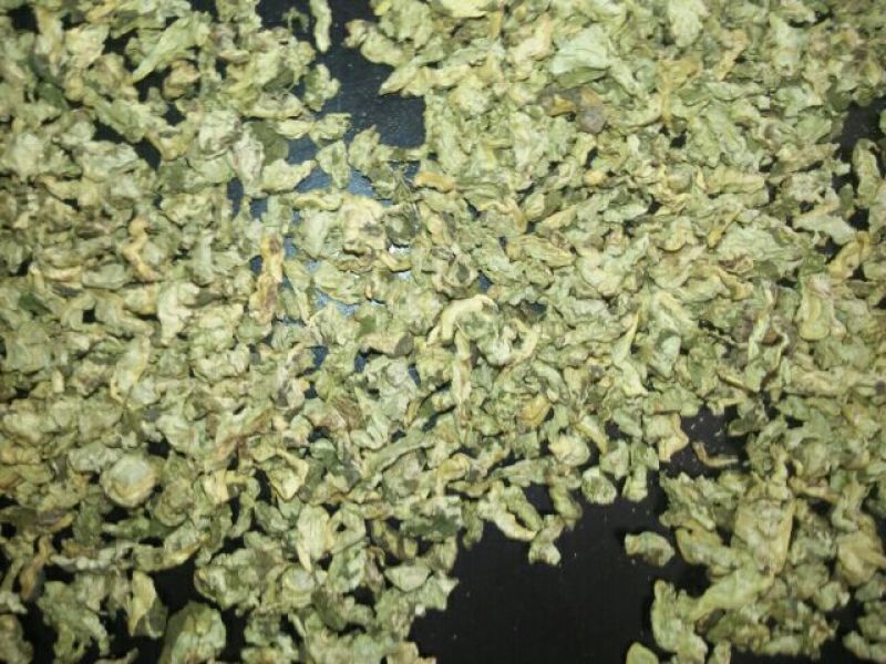 荷叶20cm以下选货