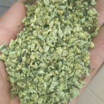 荷叶20cm以下选货