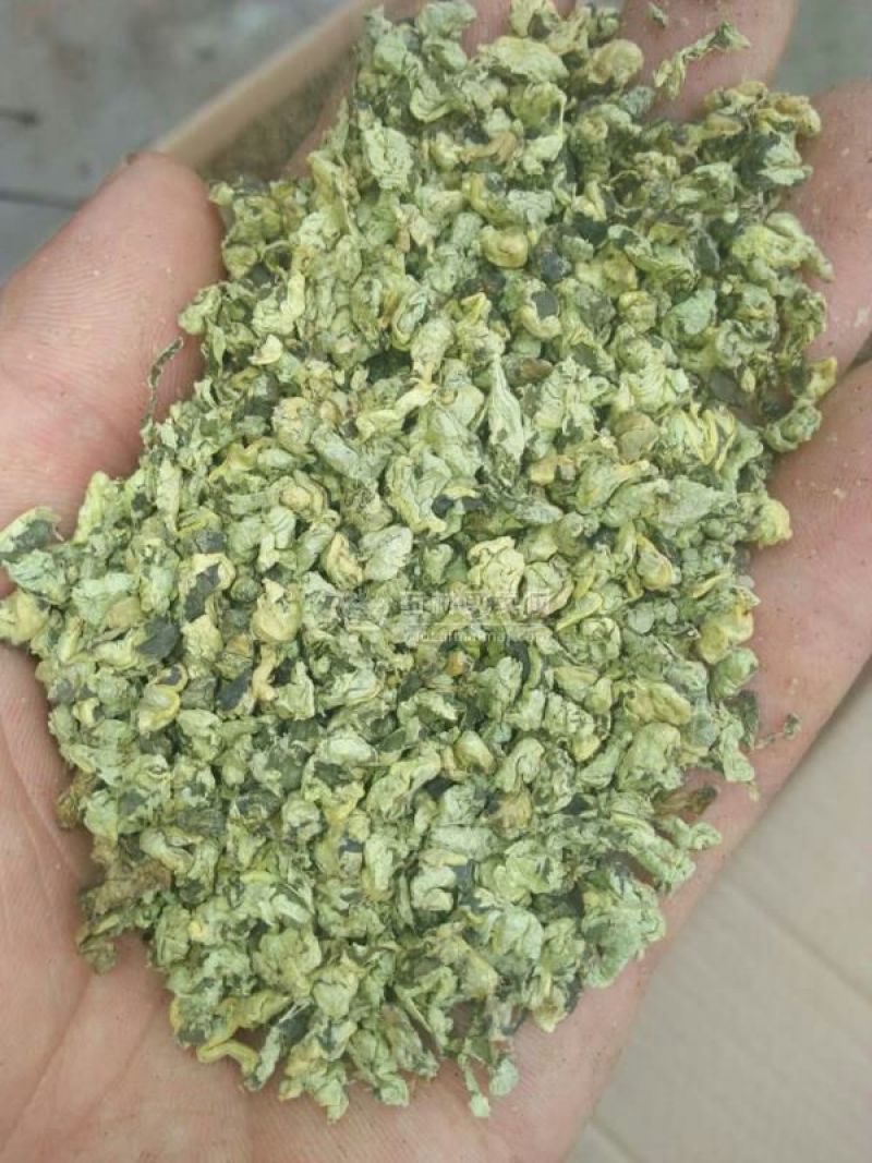 荷叶20cm以下选货