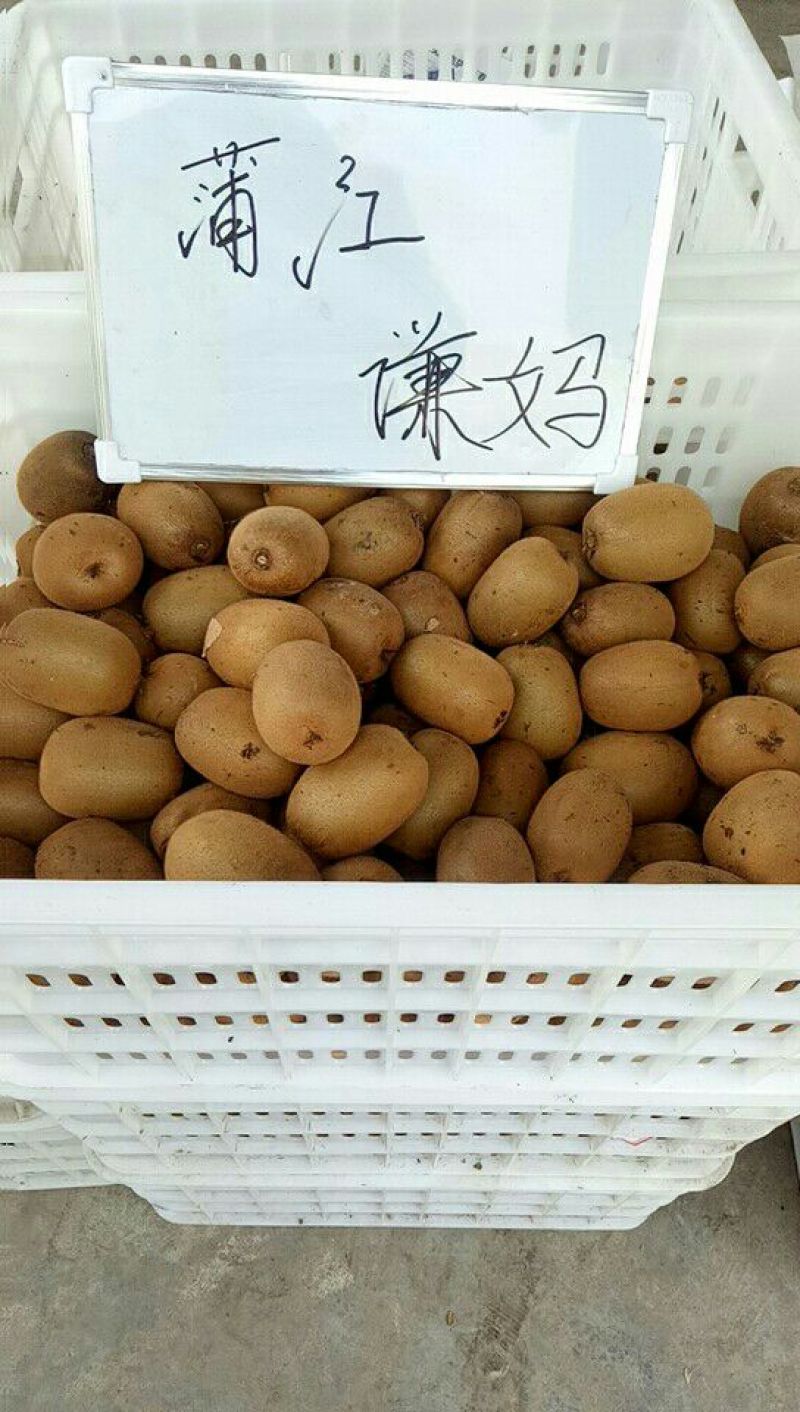 金艳猕猴桃90~110克