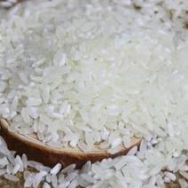 东北特产，2022年自产自销长粒香大米一级新米