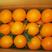 精品纽荷尔脐橙产地看货采摘，以质量论价格