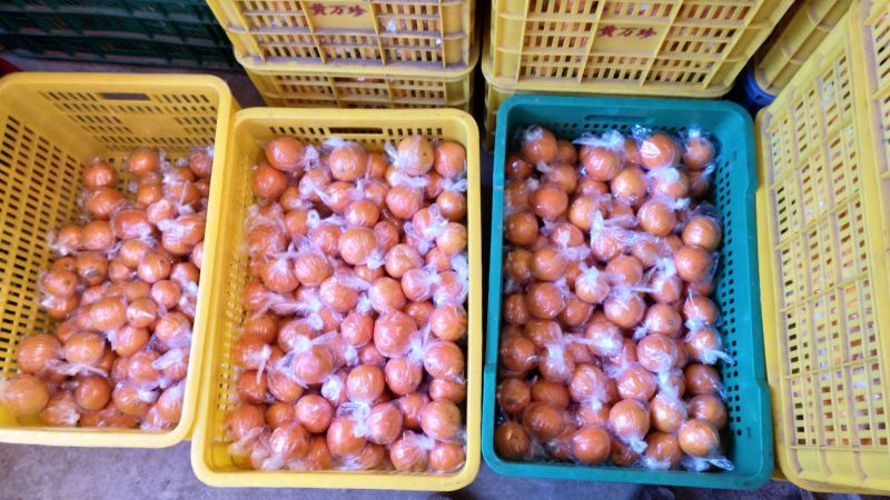 纽荷尔脐橙65mm以下