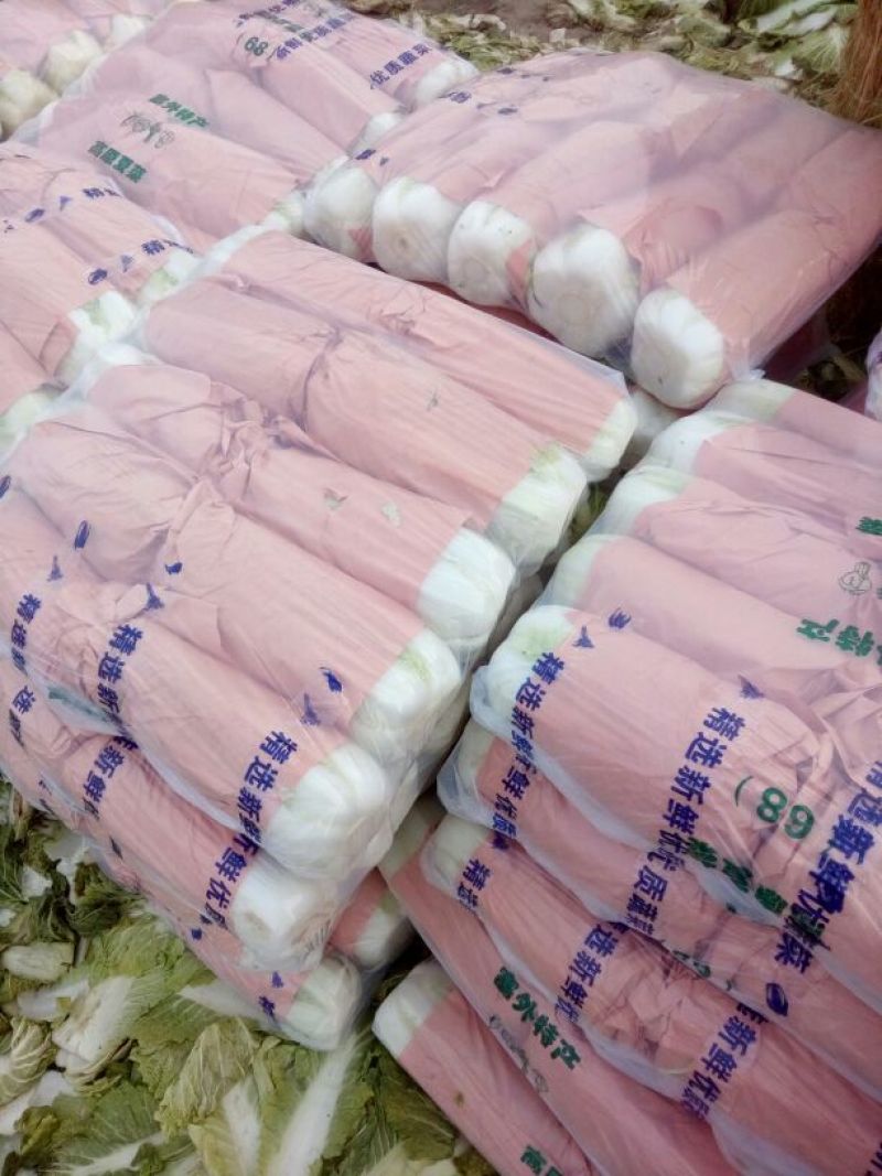 北京三号白菜，欢迎采购